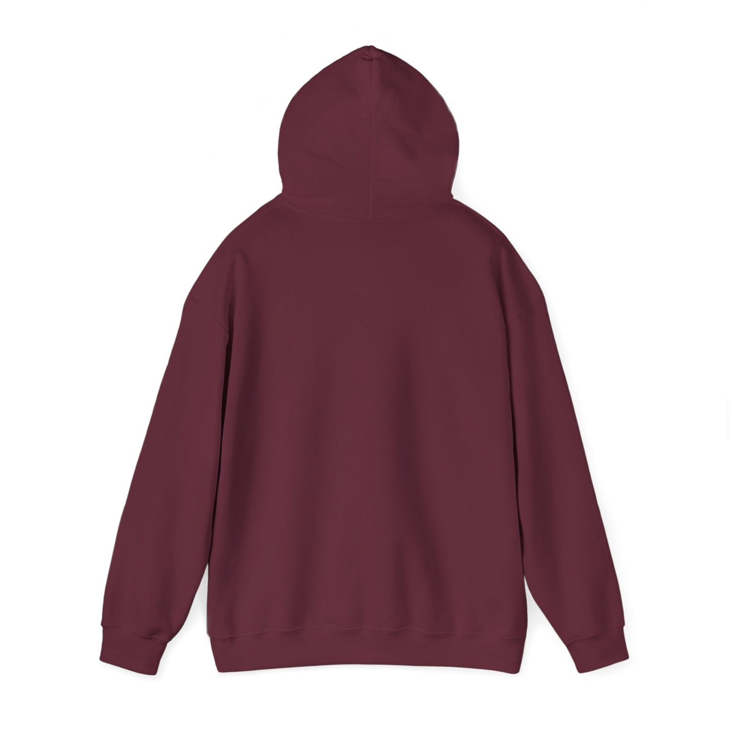 Birthday Collection - Find Ryan hoodie :Wear the Message