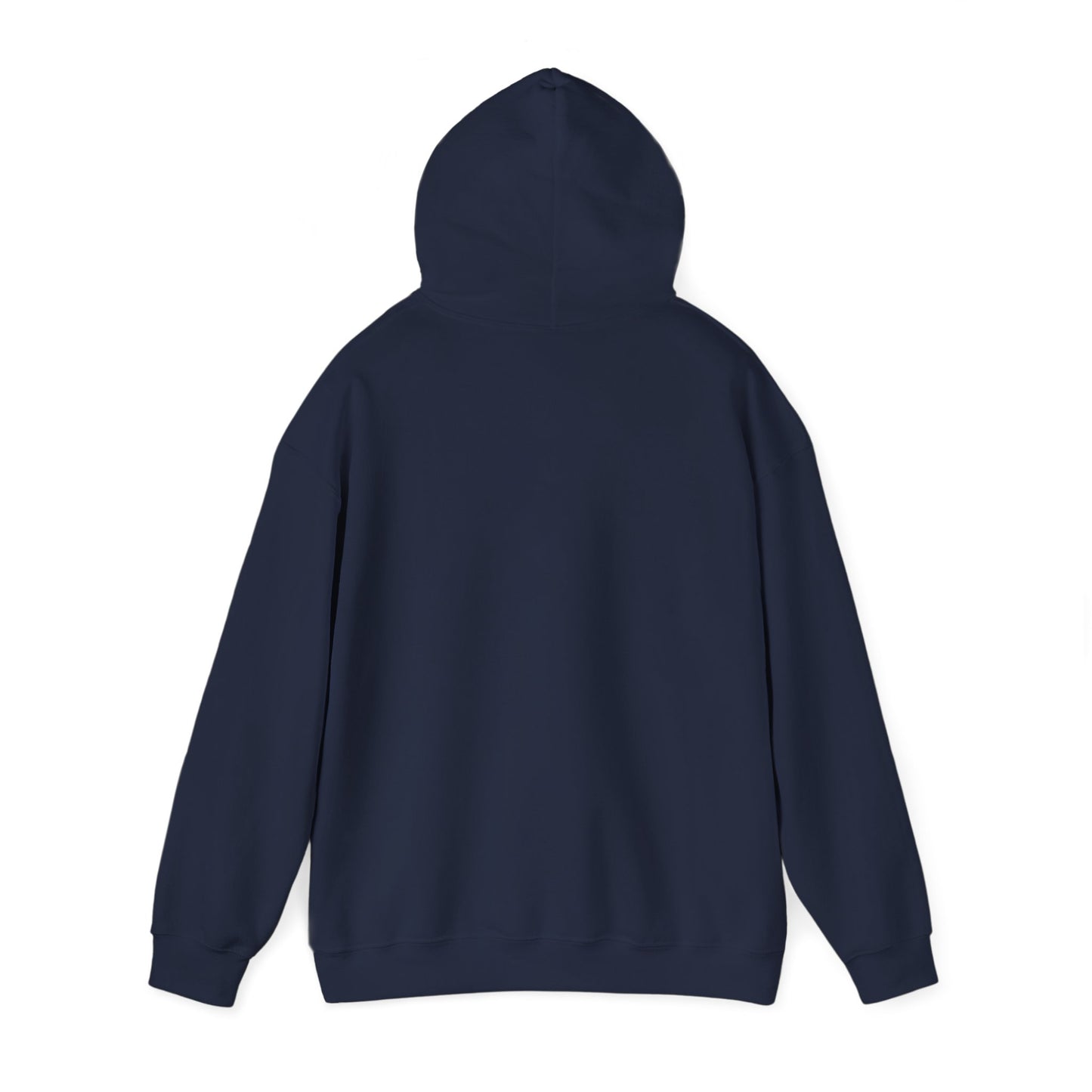 Birthday Collection - Find Ryan hoodie :Wear the Message