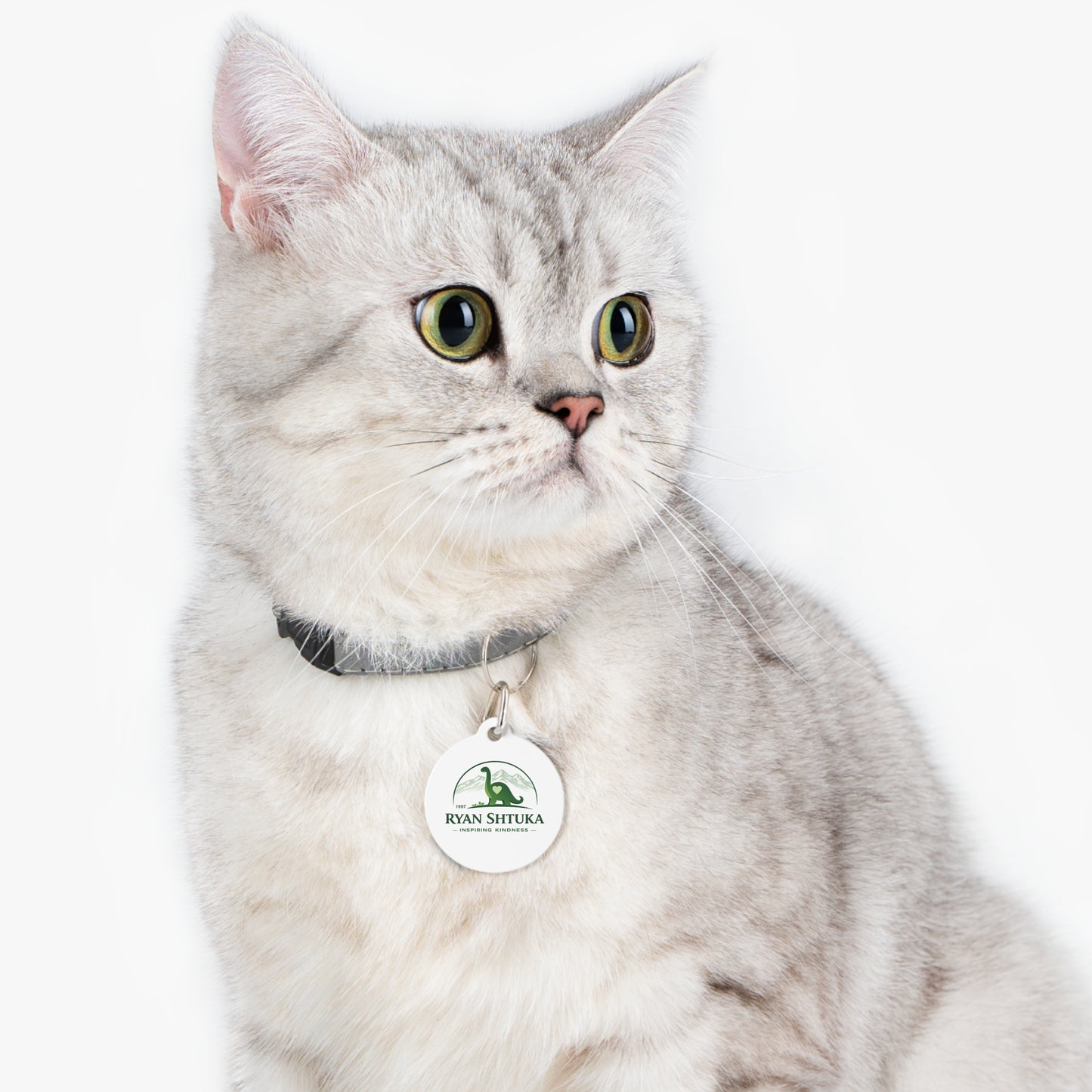 Pet Tag — Custom Round Pet ID Tag with Green Dinosaur 'Ryan Shtuka Inspiring Kindness' Design