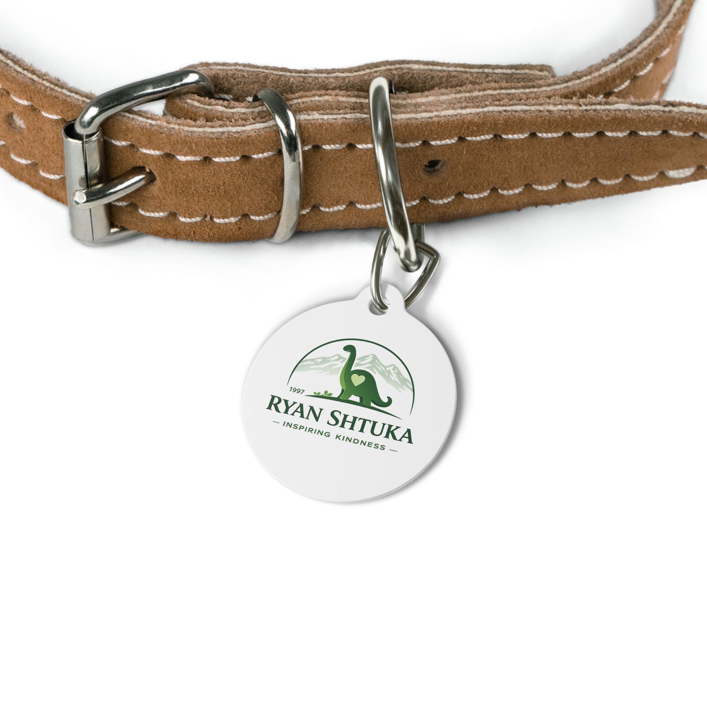 Pet Tag — Custom Round Pet ID Tag with Green Dinosaur 'Ryan Shtuka Inspiring Kindness' Design