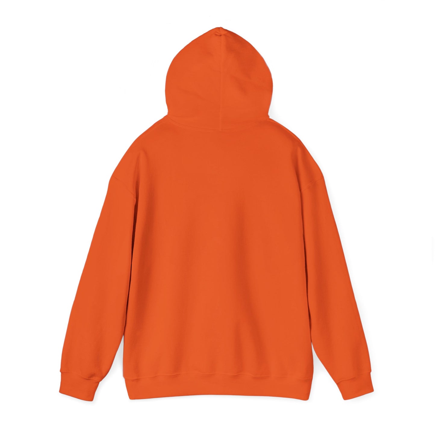 OG - Find Ryan hoodie - Wear the Message