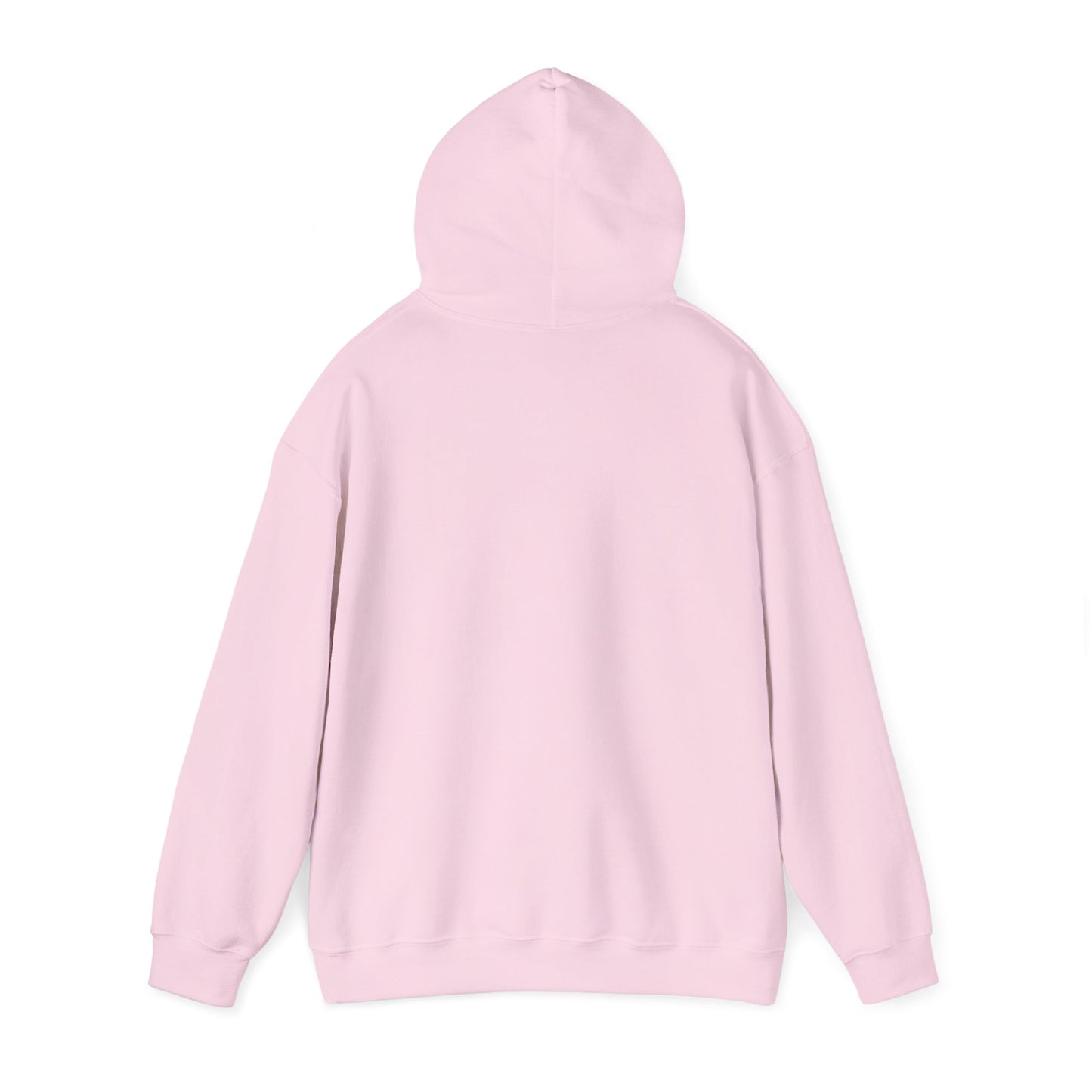 OG - Find Ryan hoodie - Wear the Message