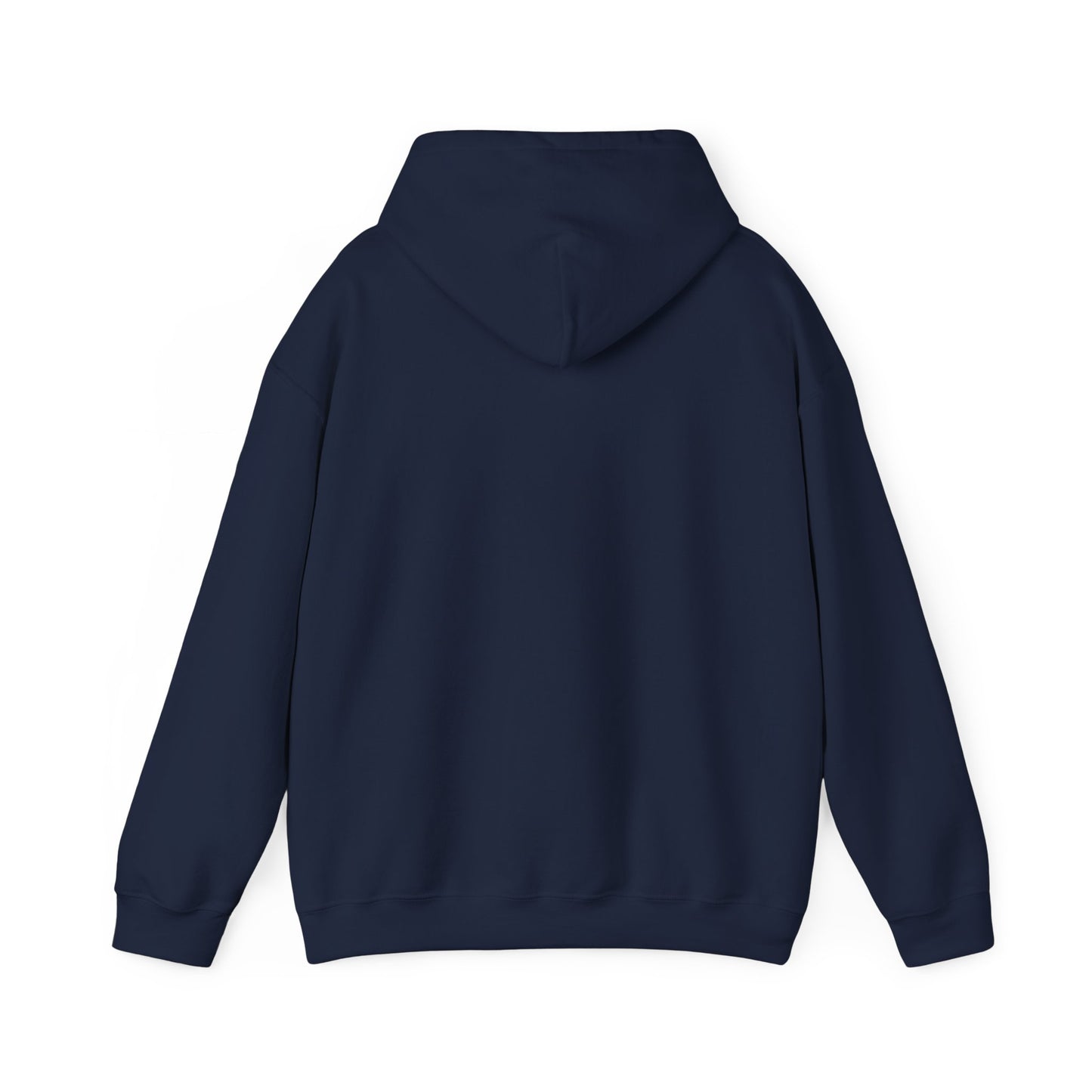 OG - Find Ryan hoodie - Wear the Message
