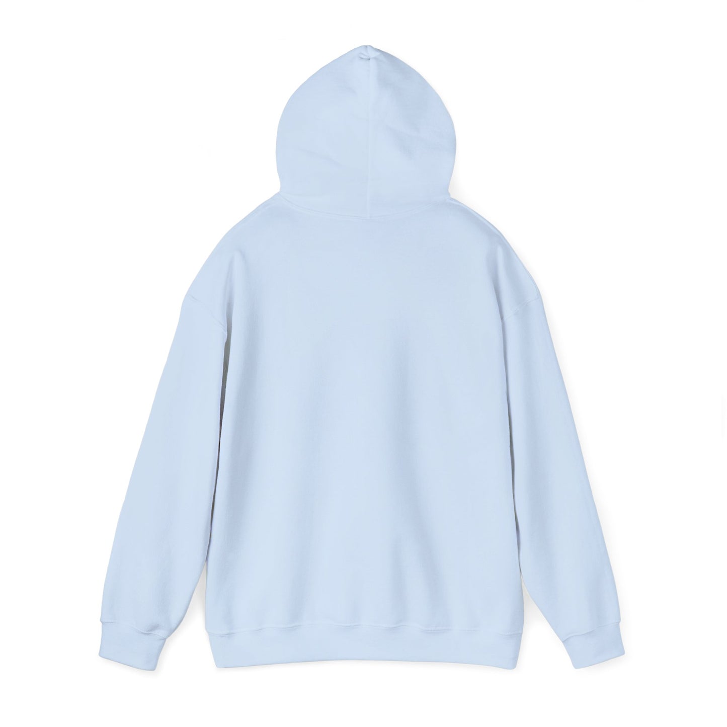 OG - Find Ryan hoodie - Wear the Message