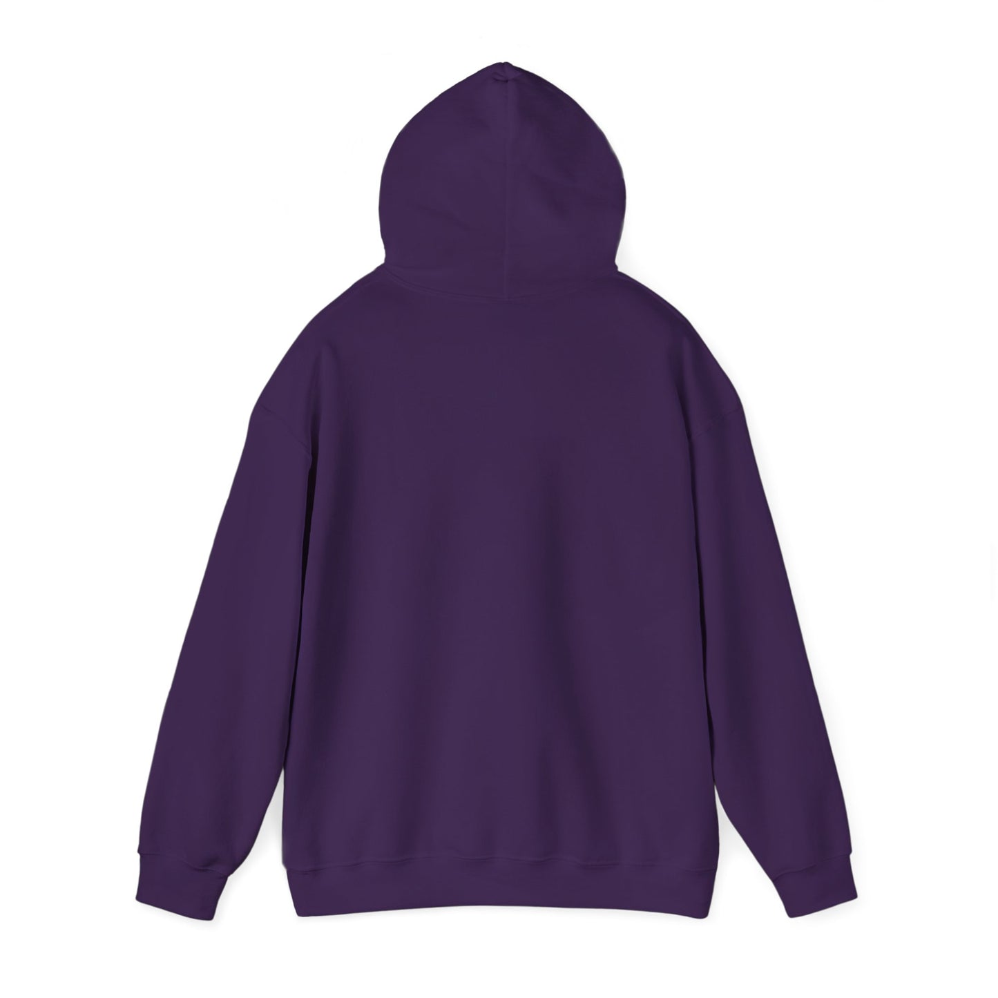 OG - Find Ryan hoodie - Wear the Message