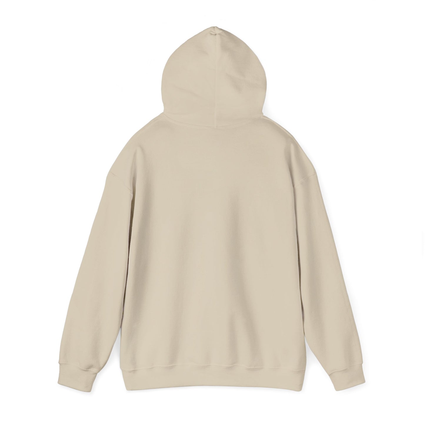 OG - Find Ryan hoodie - Wear the Message
