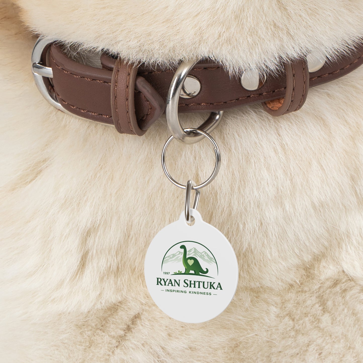 Pet Tag — Custom Round Pet ID Tag with Green Dinosaur 'Ryan Shtuka Inspiring Kindness' Design