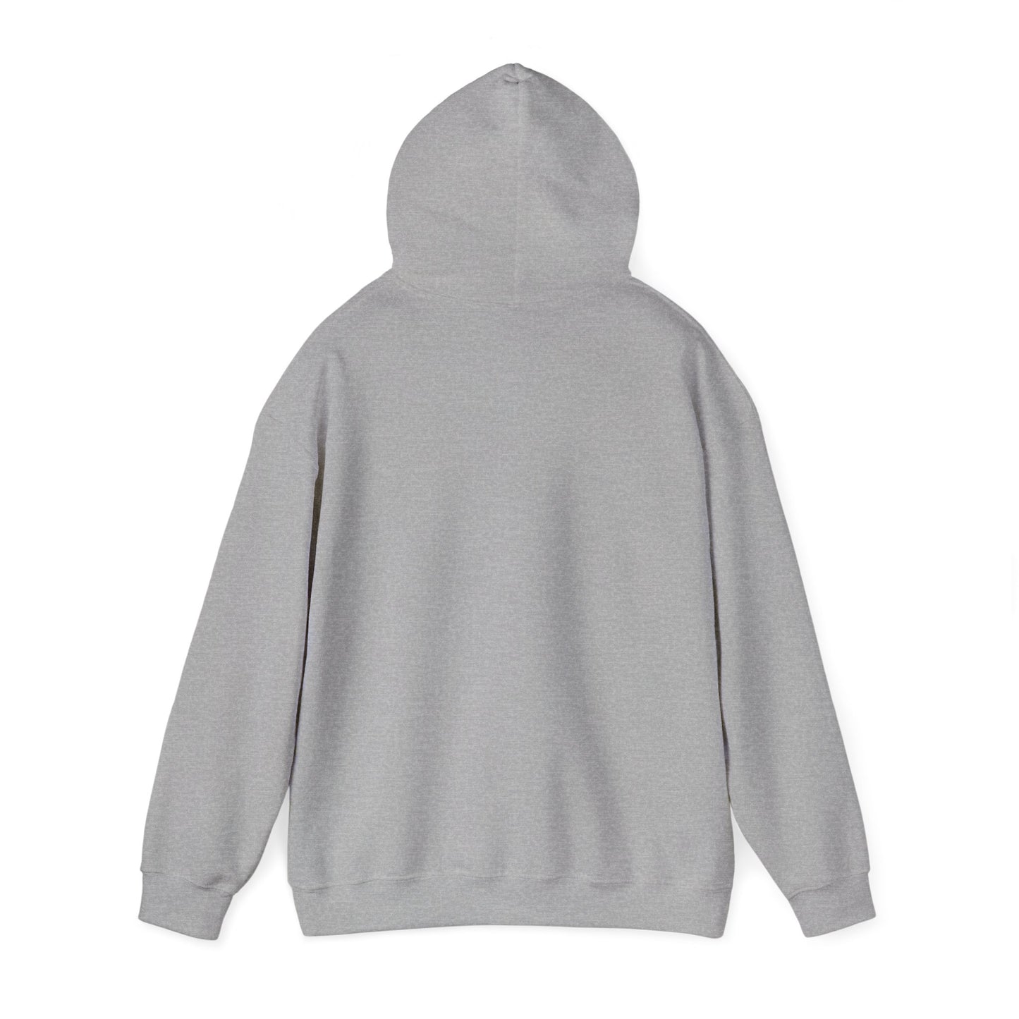 OG - Find Ryan hoodie - Wear the Message