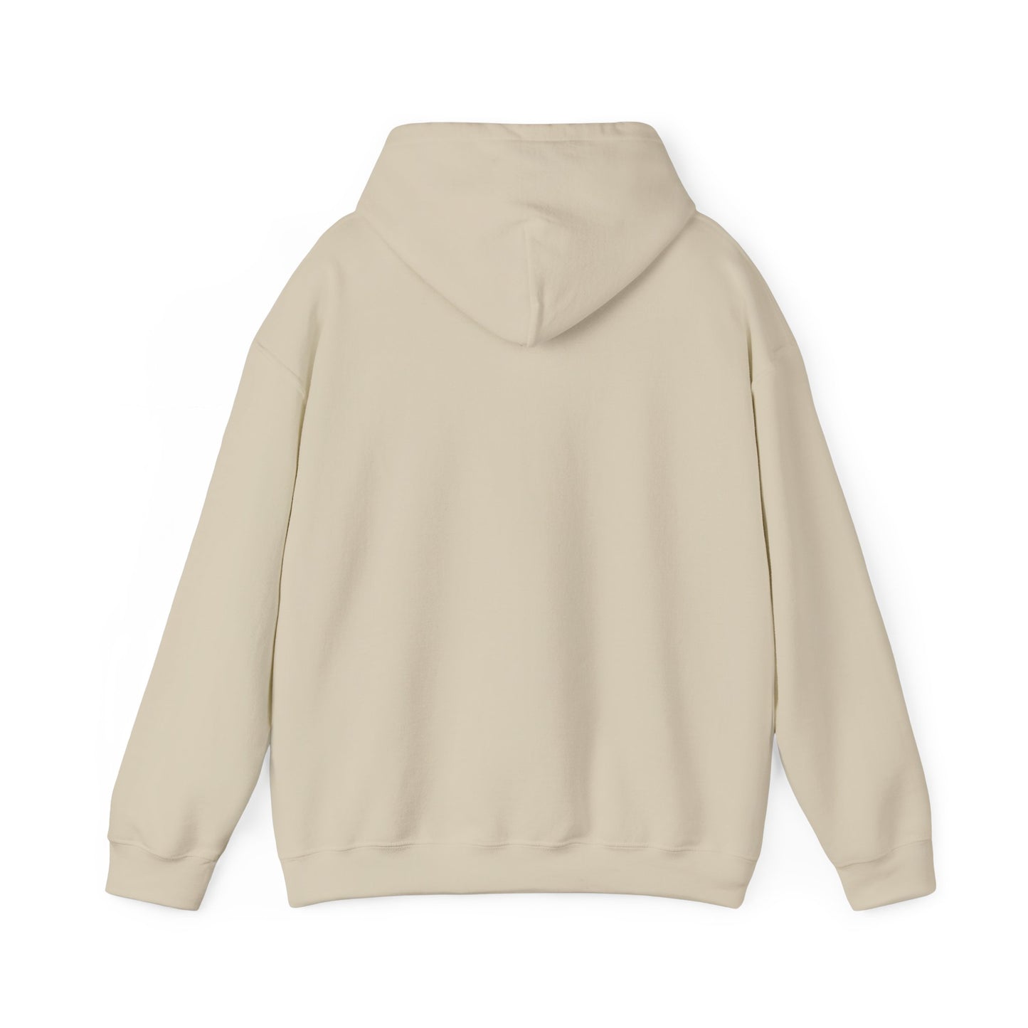 OG - Find Ryan hoodie - Wear the Message