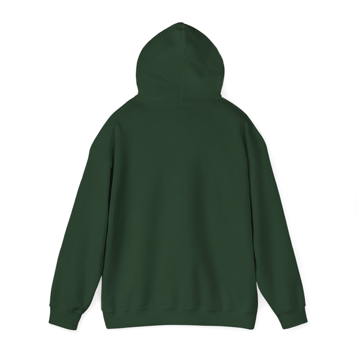 OG - Find Ryan hoodie - Wear the Message