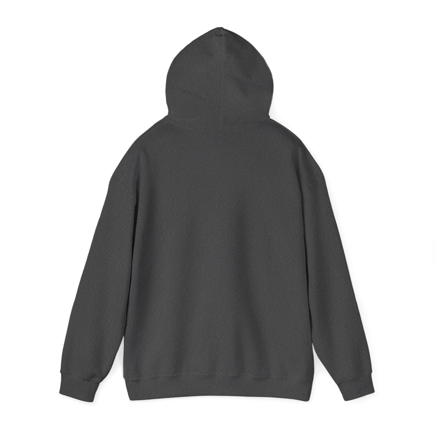 OG - Find Ryan hoodie - Wear the Message