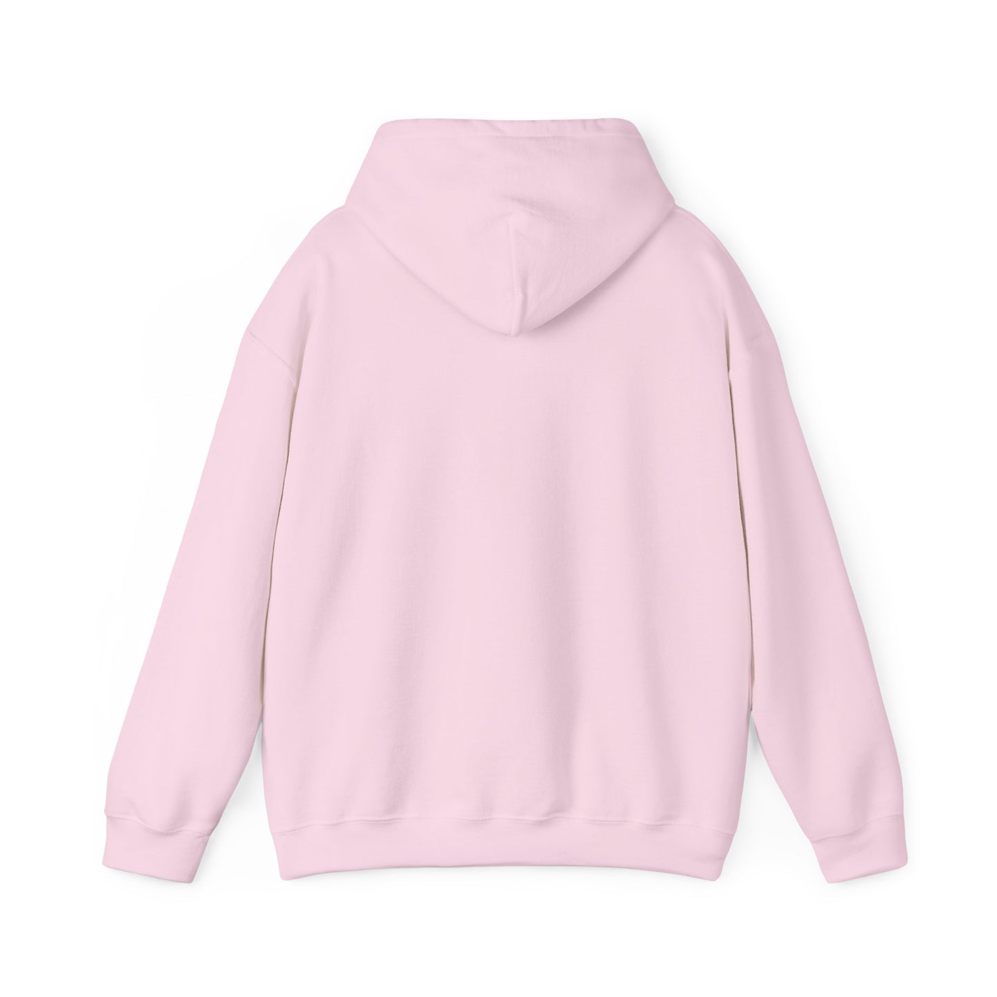 OG - Find Ryan hoodie - Wear the Message
