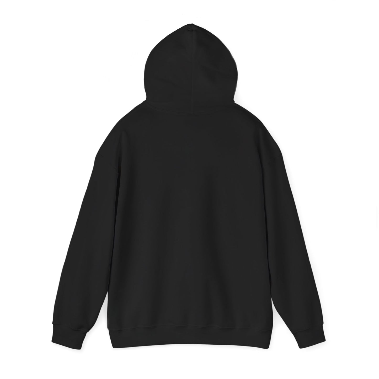 OG - Find Ryan hoodie - Wear the Message