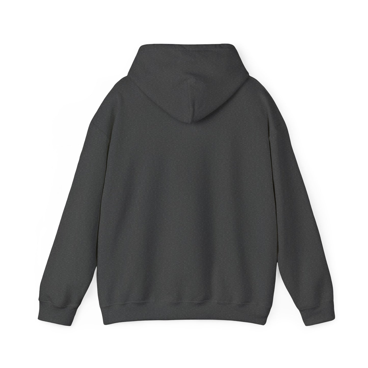 OG - Find Ryan hoodie - Wear the Message