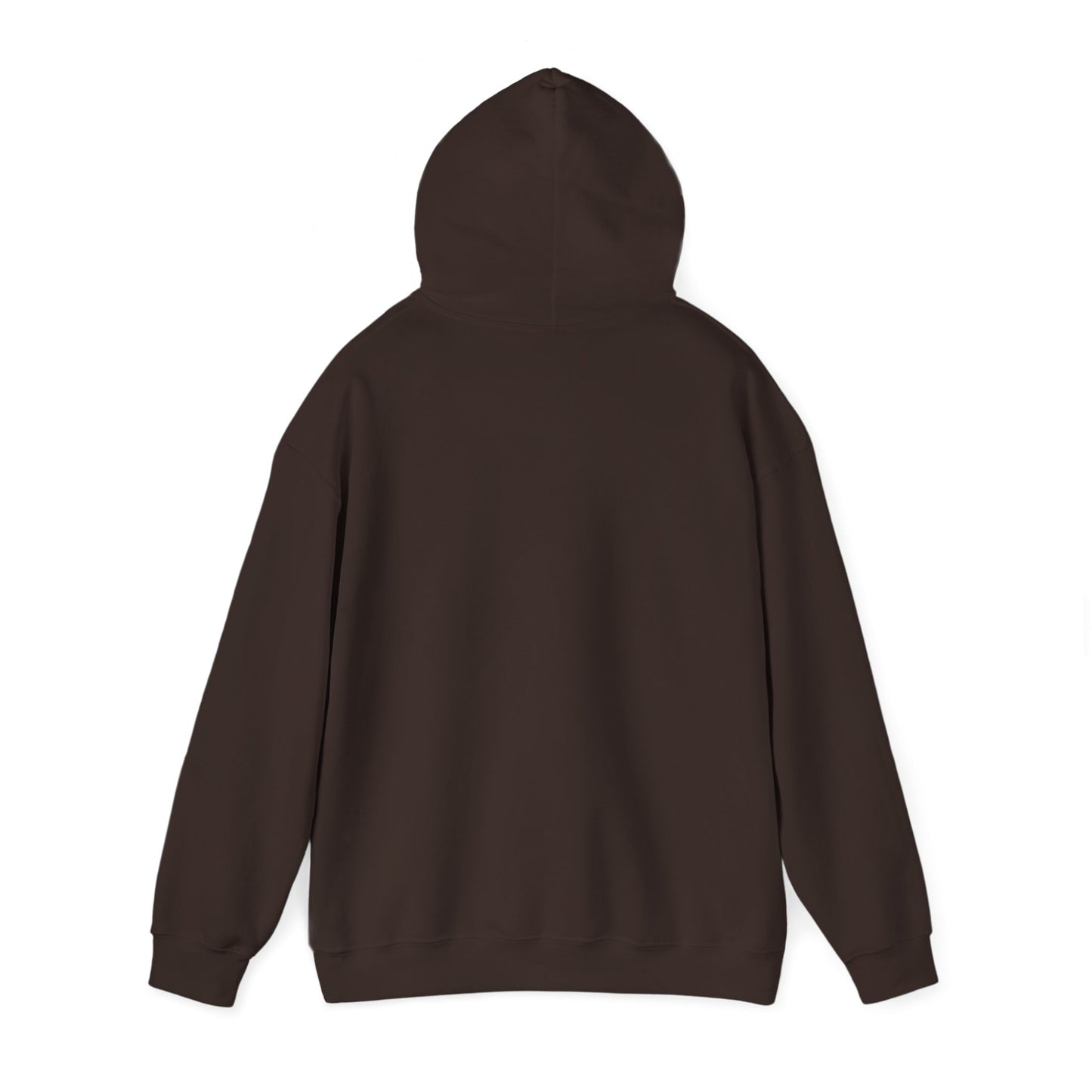Birthday Collection - Find Ryan hoodie :Wear the Message