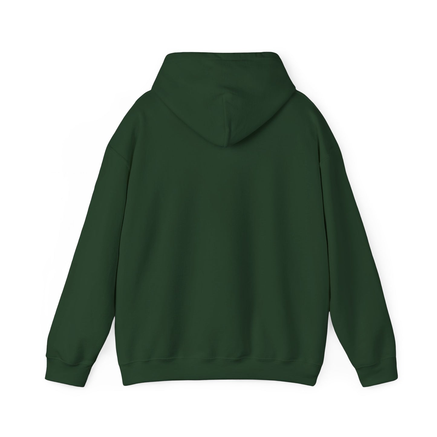 OG - Find Ryan hoodie - Wear the Message