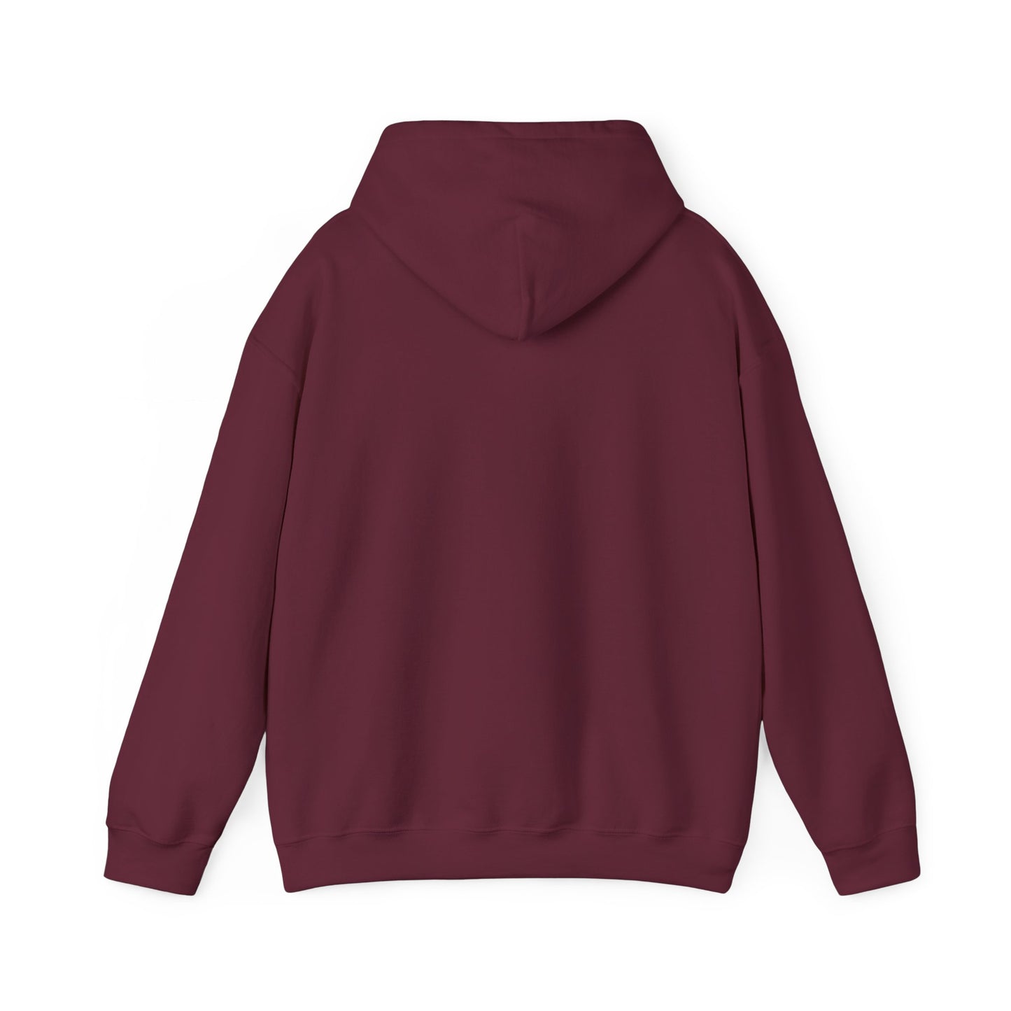 Birthday Collection - Find Ryan hoodie :Wear the Message