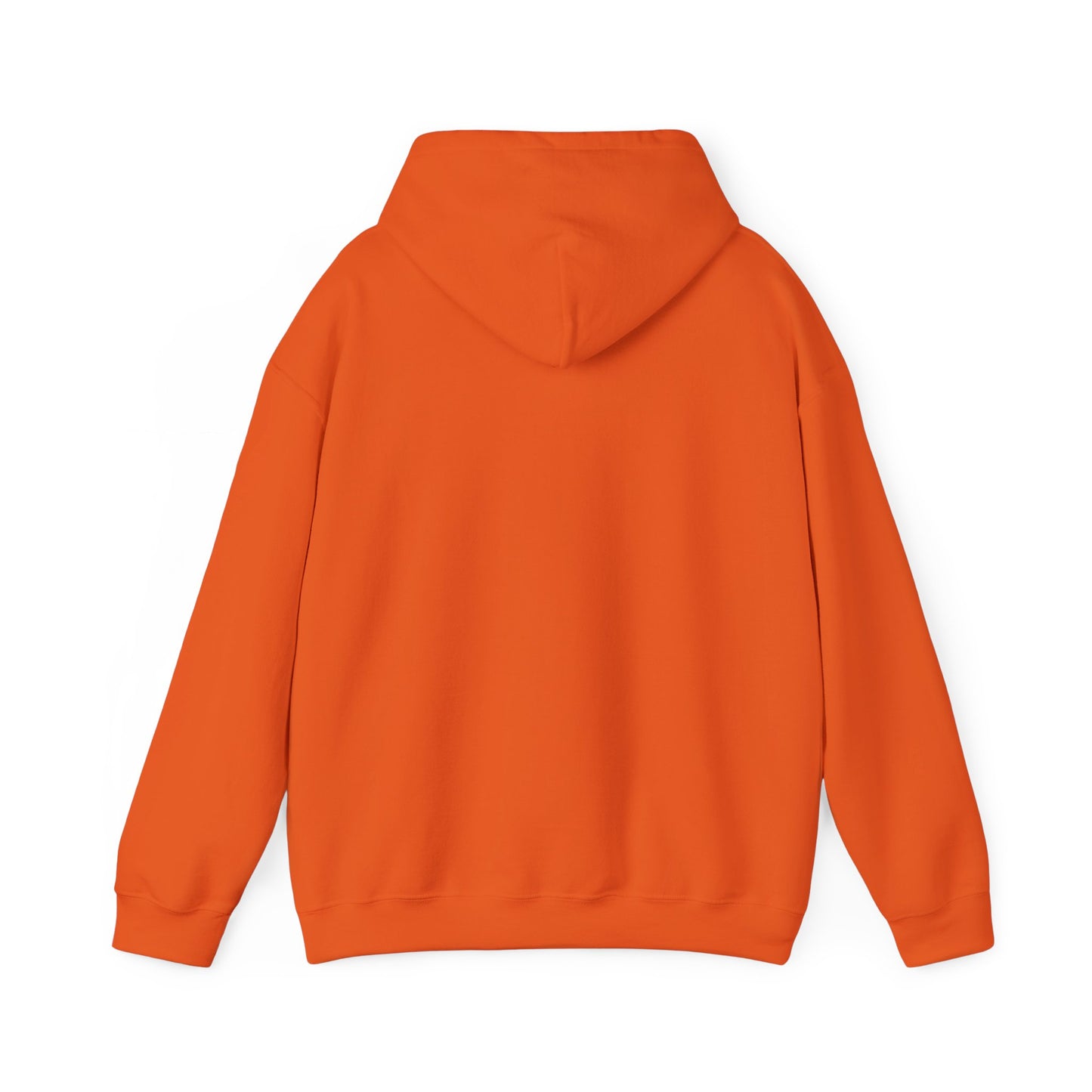 Birthday Collection - Find Ryan hoodie :Wear the Message