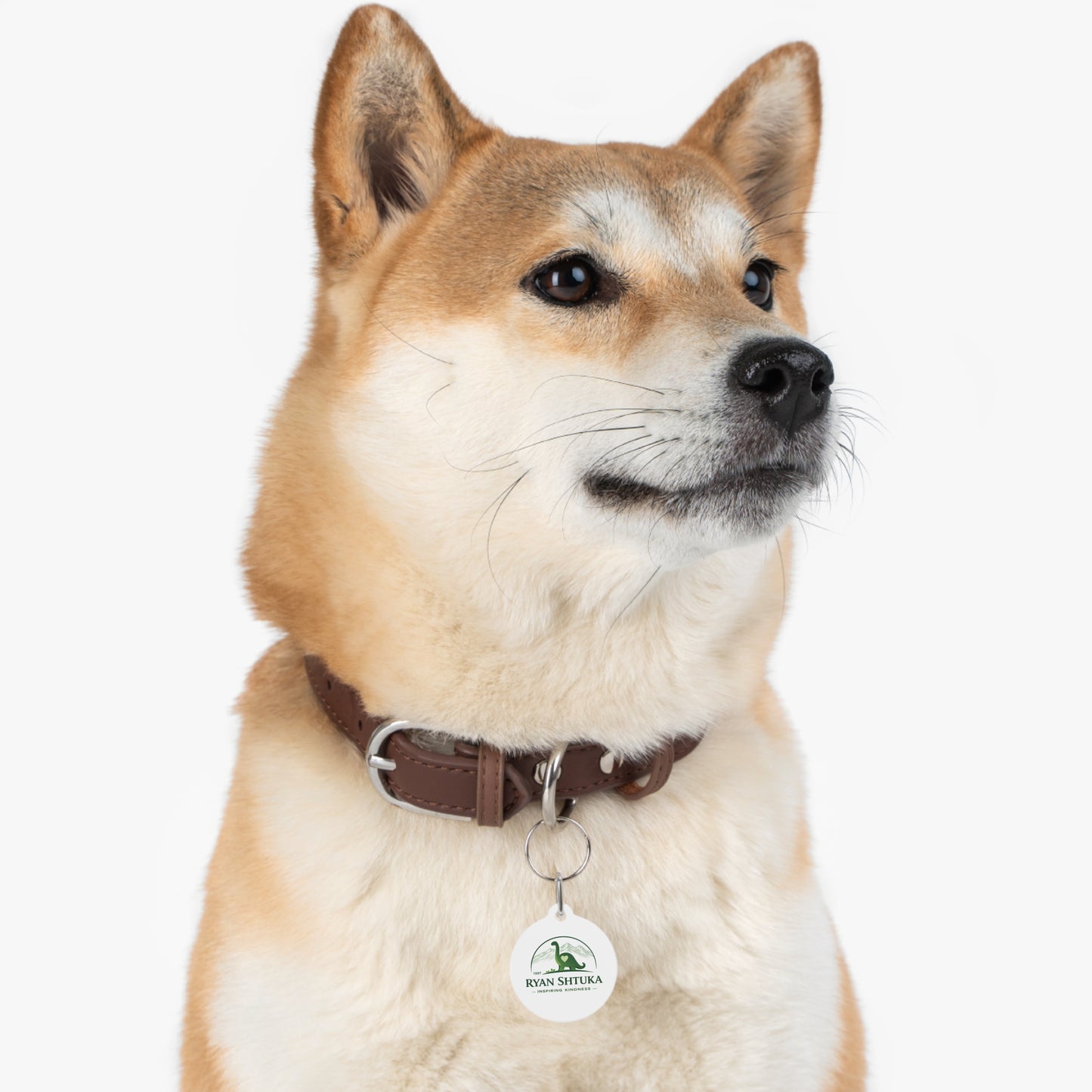 Pet Tag — Custom Round Pet ID Tag with Green Dinosaur 'Ryan Shtuka Inspiring Kindness' Design